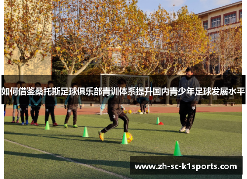 如何借鉴桑托斯足球俱乐部青训体系提升国内青少年足球发展水平