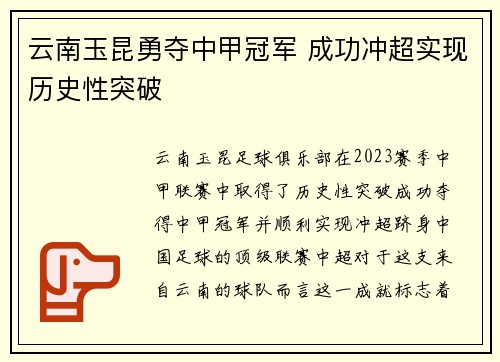 云南玉昆勇夺中甲冠军 成功冲超实现历史性突破
